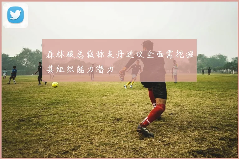 森林狼总裁称麦丹进攻全面需挖掘其组织能力潜力